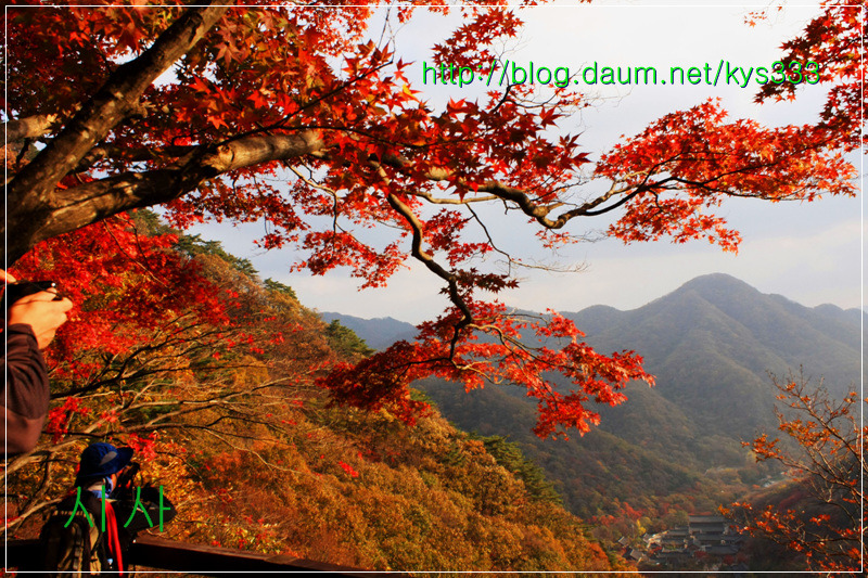 만추의 백양사 아름다운 단풍 2탄...2012. 11월 7일