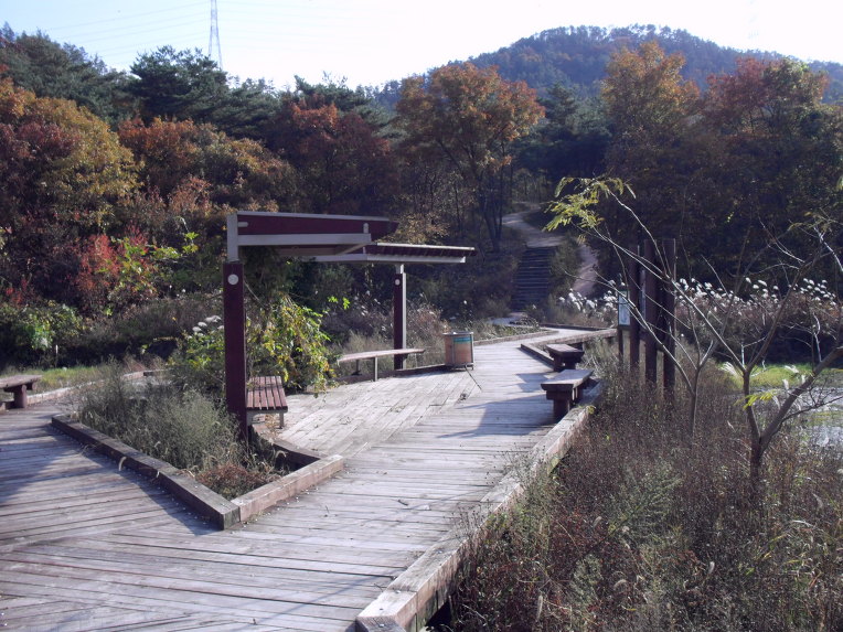 치코스 이미지
