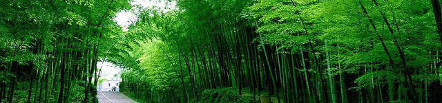 그녀의 반성과 사과 - 이정희 의원