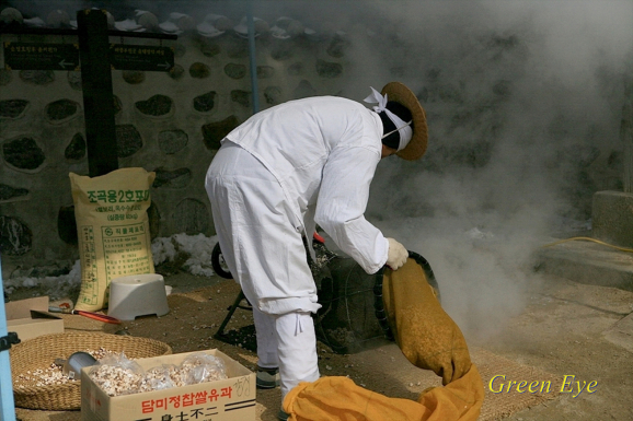 추억의 뻥튀기-한강의 꽃