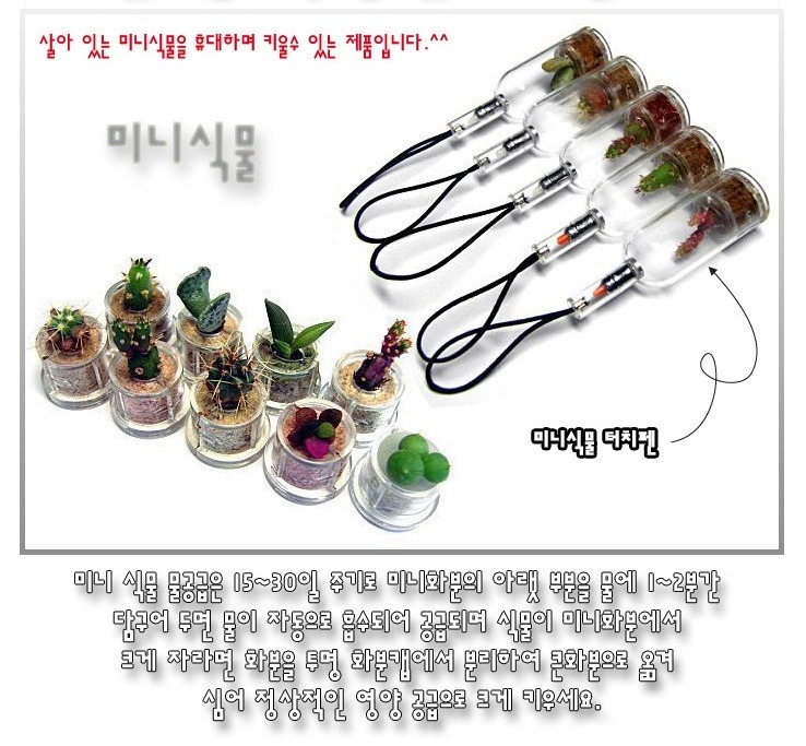 플라워새봄 이미지