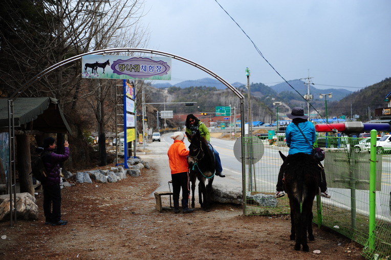 당나귀타는원시마을 이미지