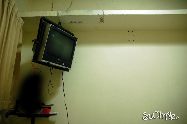 1211C8404E96A88313B298