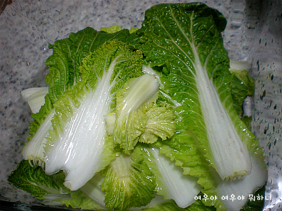 간단하게 만들어 먹는 시골밥상-봄동 시래기 조림^^