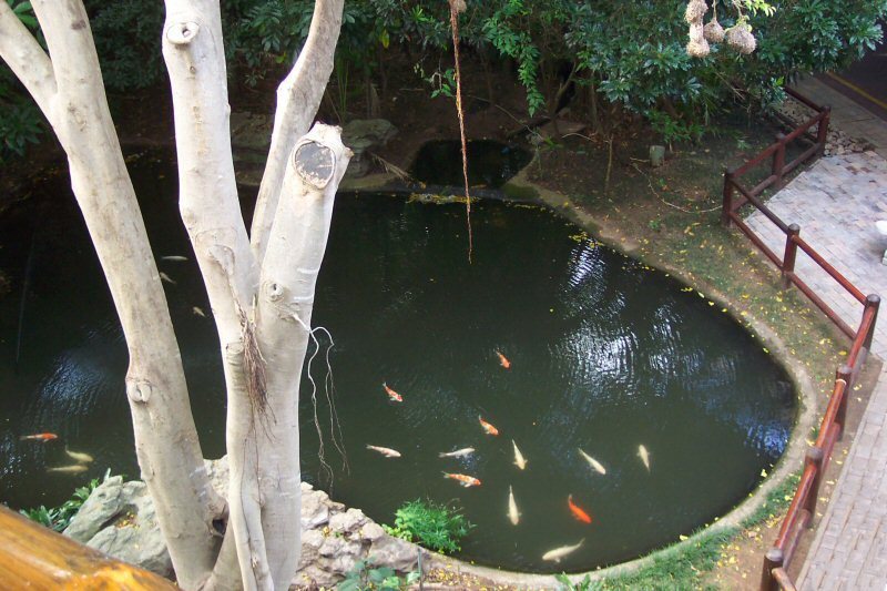 더반의 거리풍경