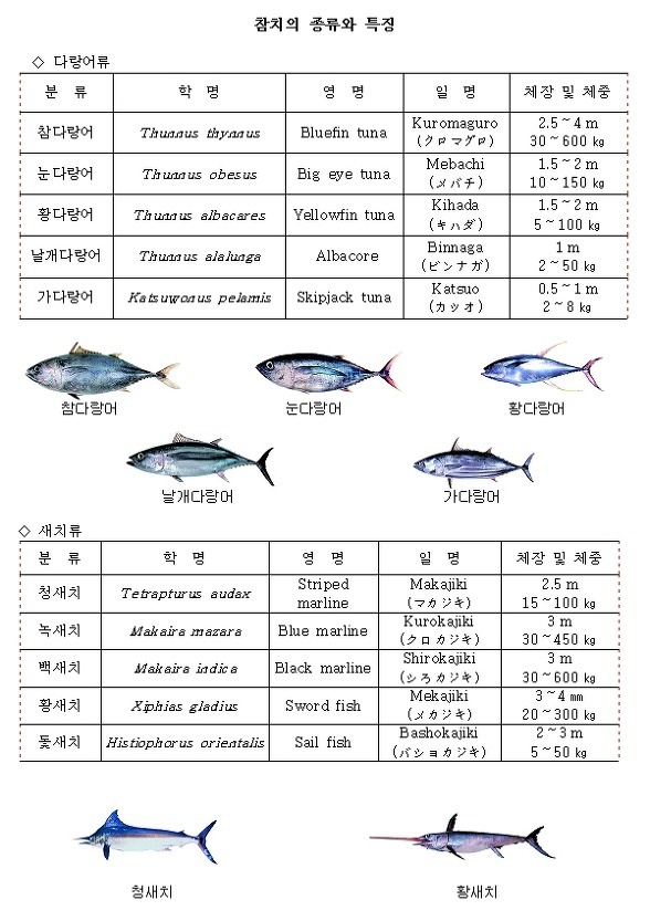 노인과바다참치 이미지