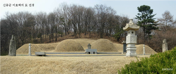 시제 이미지