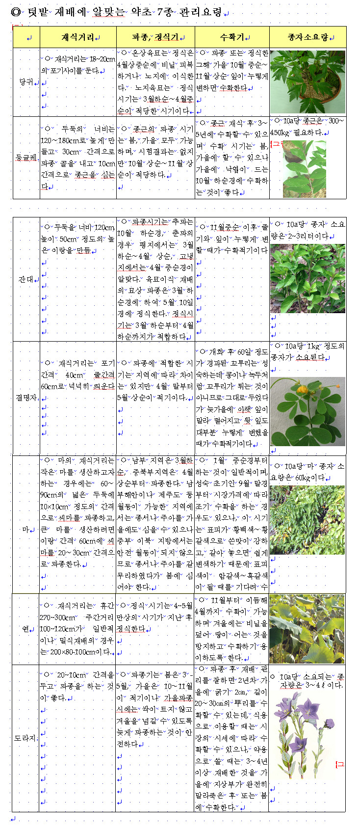  텃밭에 심는 ‘토종약초 7선’ 선보여