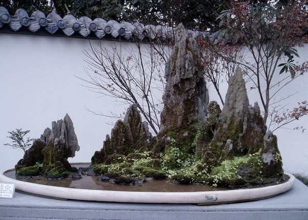 ����Ŭ���� �Ͻø� �̹����� ������ �� �ֽ��ϴ�