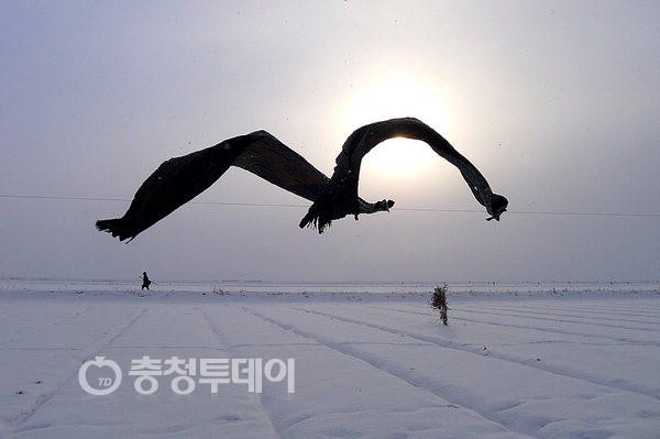 사진마당 이미지
