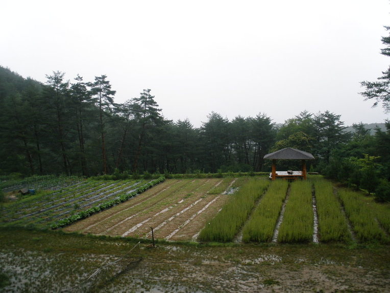 정자농원 이미지