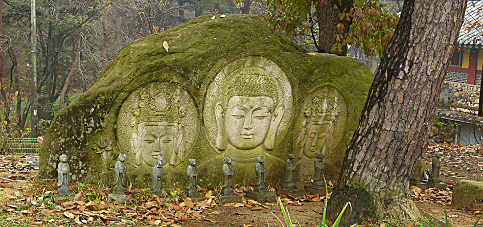 수림장 이미지