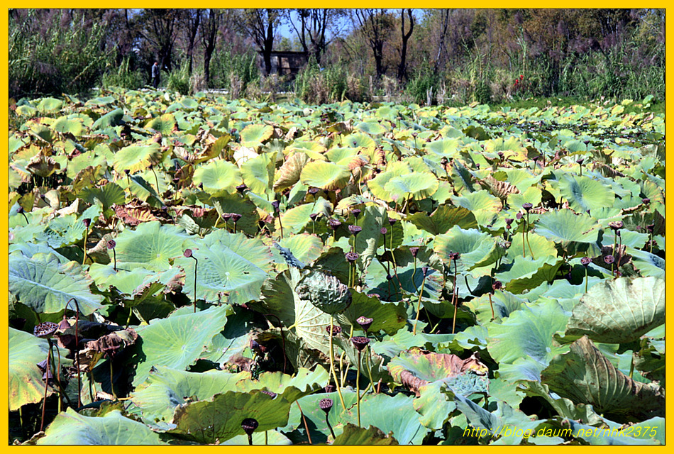 따리꾸청(大理古城 : 대리고성)의 얼하이 호수