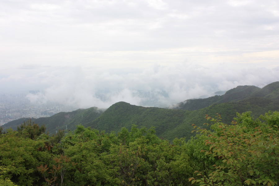 앞산공원 이미지