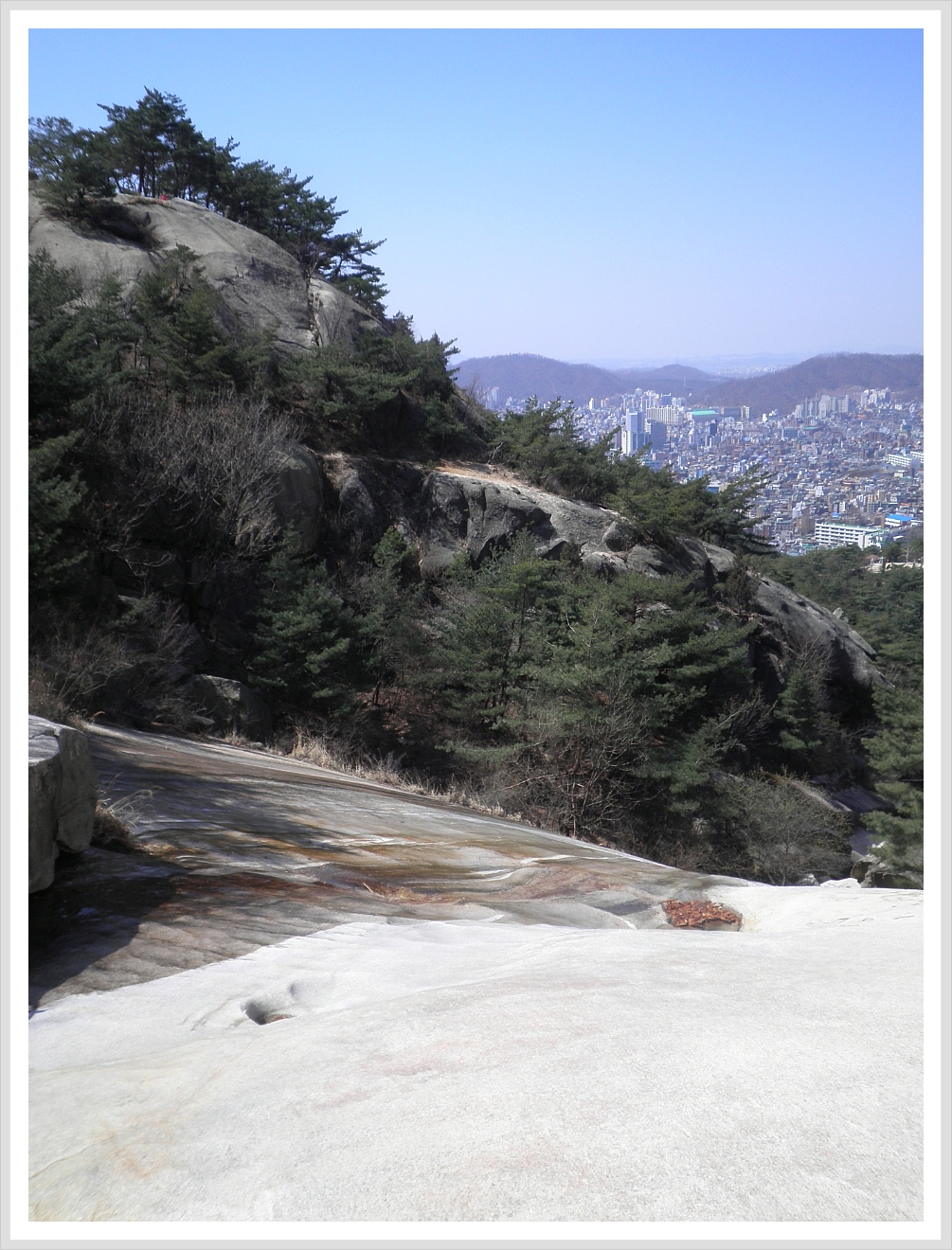 고은잠자리 이미지
