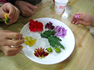 1565394B4ED2CE6C270FC4