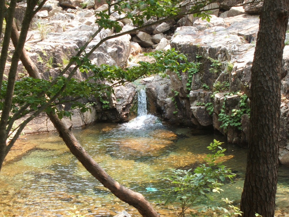 [pop]Without you-해리 닐슨