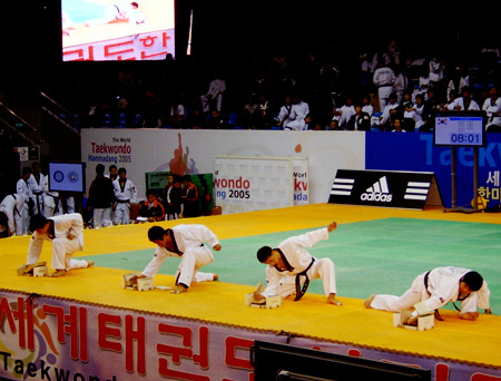 국가대표태권스쿨 이미지