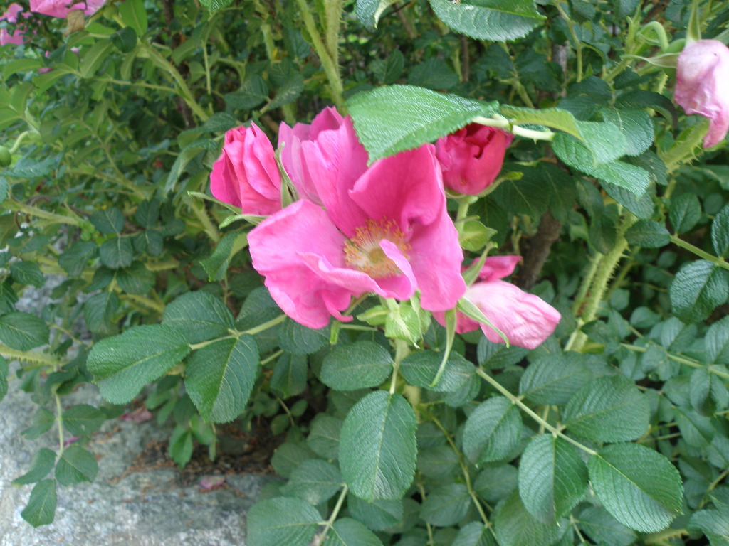 프로필 이미지
