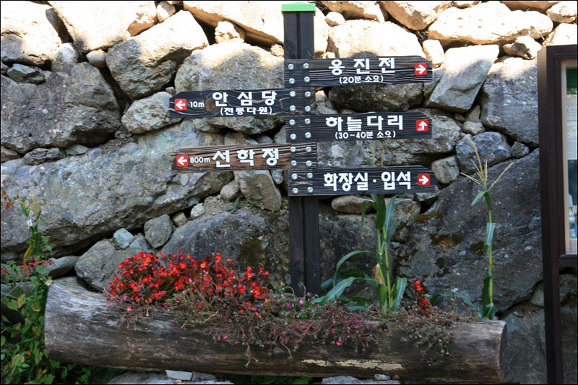 황금마당 이미지