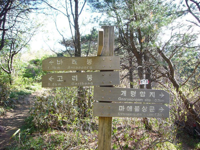2007년 지리산 대종주