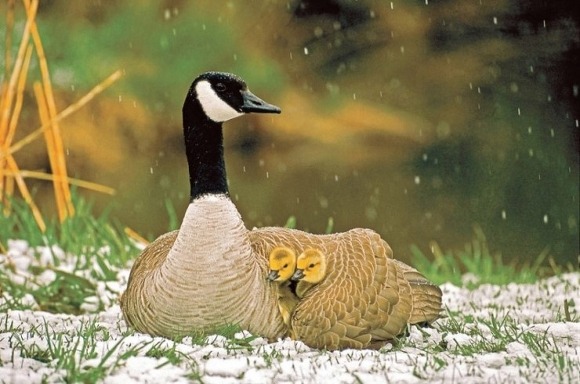 166B823D4EB0DE671F021E