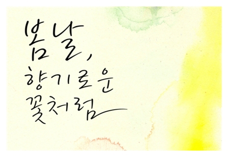 현재디자인 이미지
