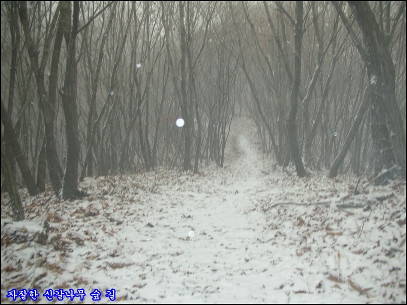 2009.12.25 金 명지지맥 최종구간을 마치며.(빛고개~주발봉~호명산~청평공)