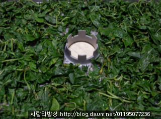 고추잎 무 말랭이 무침