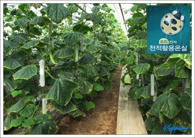 산너울농원 이미지
