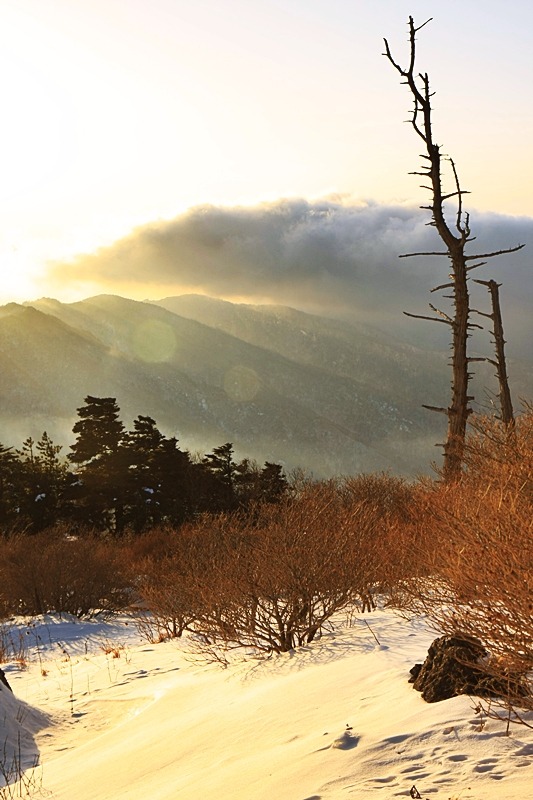 지리산 이미지