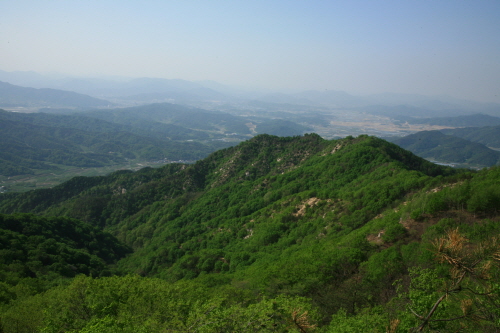 만나수산 이미지