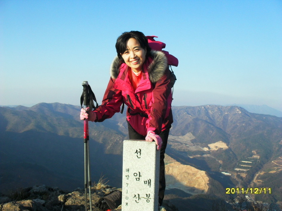 땡벌 이미지