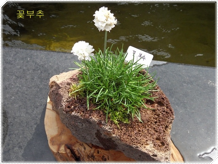 1842DB264BE9345A4228C3