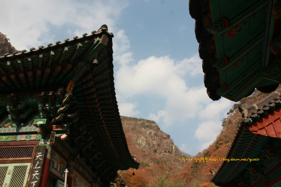 천태산죽염 이미지