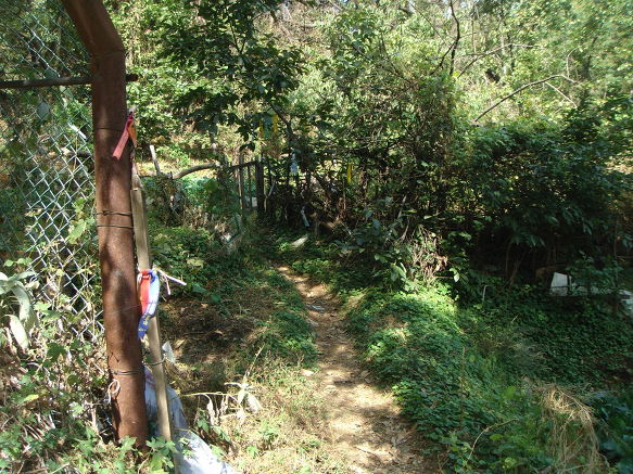 황제카센타 이미지