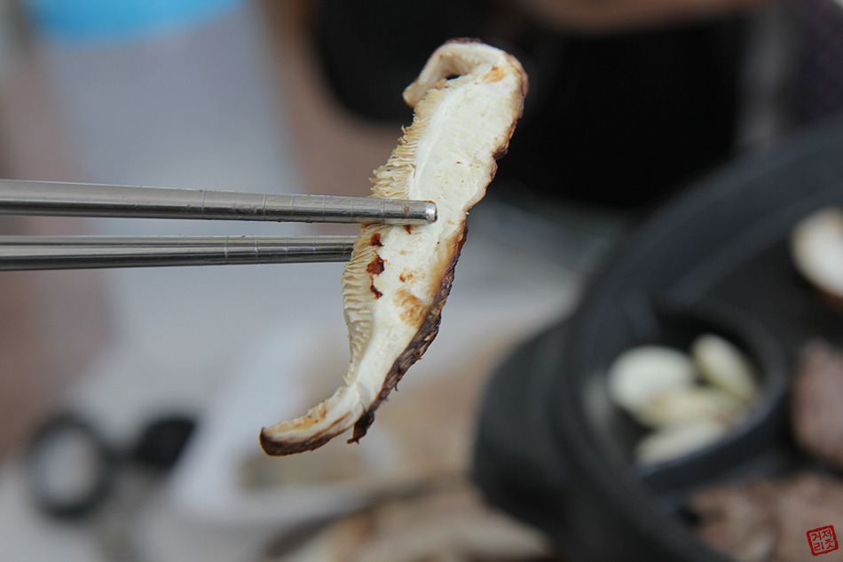 장흥에 가면 꼭 먹어야 하는 삼합!!! "정남진 우리 한우" 전라남도맛집 전남맛집 장흥맛집