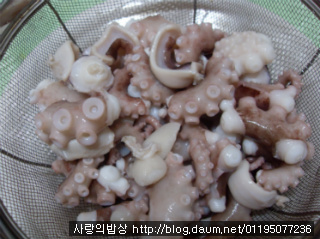 친정엄마 손맛 따라잡기! 눈물나게 화끈한 낙지볶음>_<
