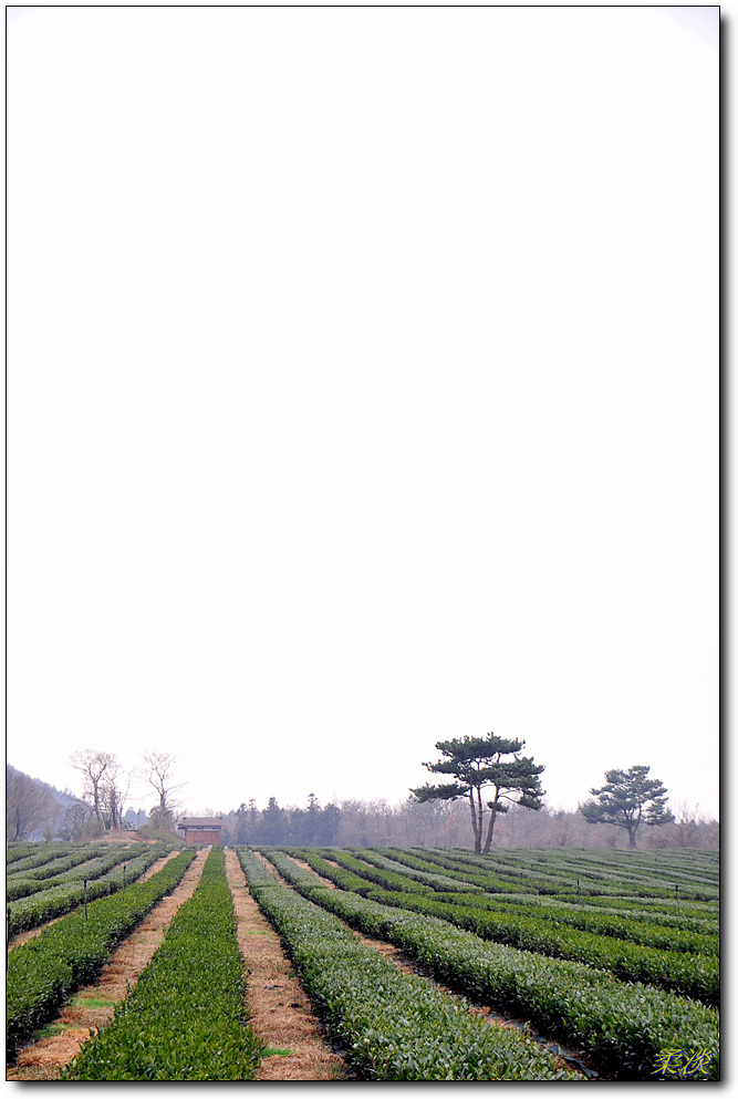 경덕이네 이미지