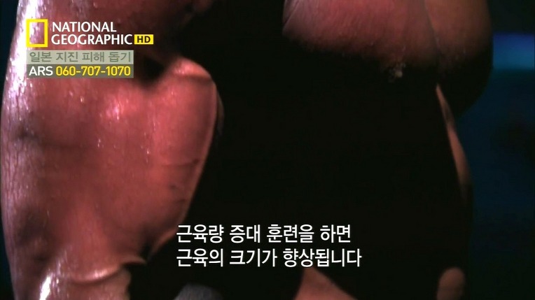 스테로이드의 유혹 | 인스티즈