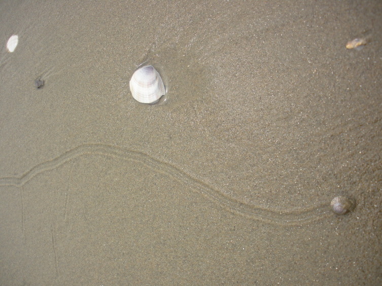 서로.화 이미지
