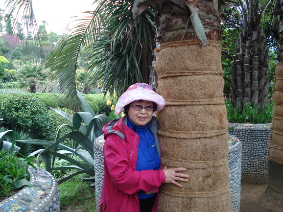 외도[열대식물]