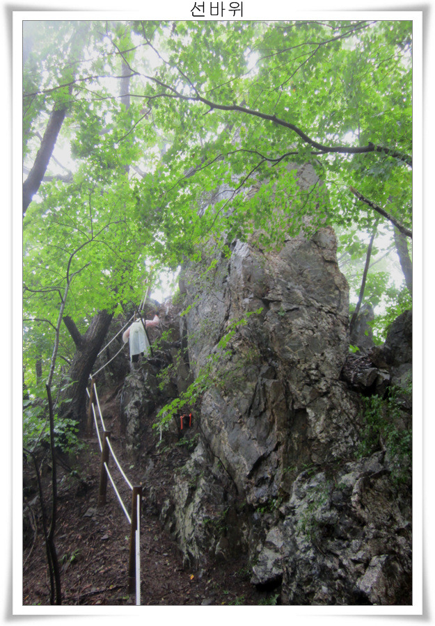 2053F04C5039EF10344DB6