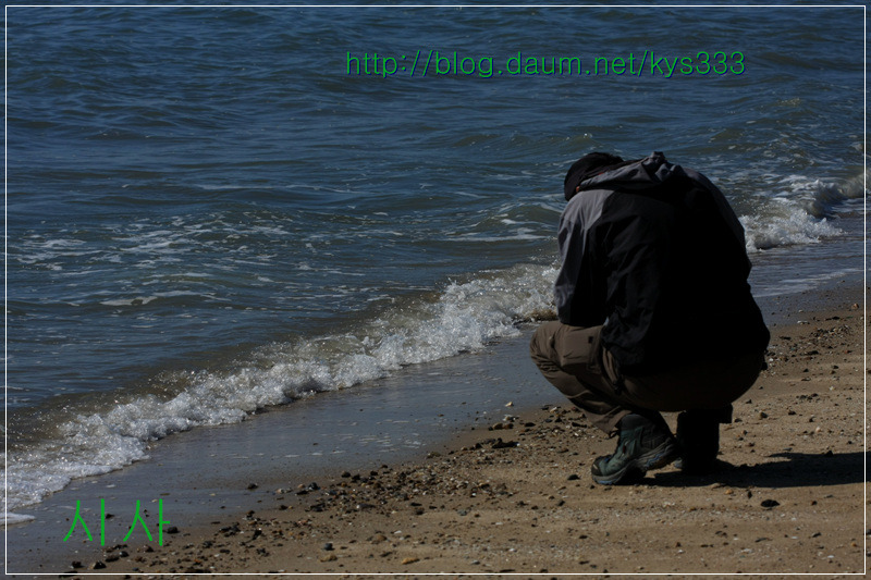 장흥 키조개와 바닷가 풍경...2011. 10월.