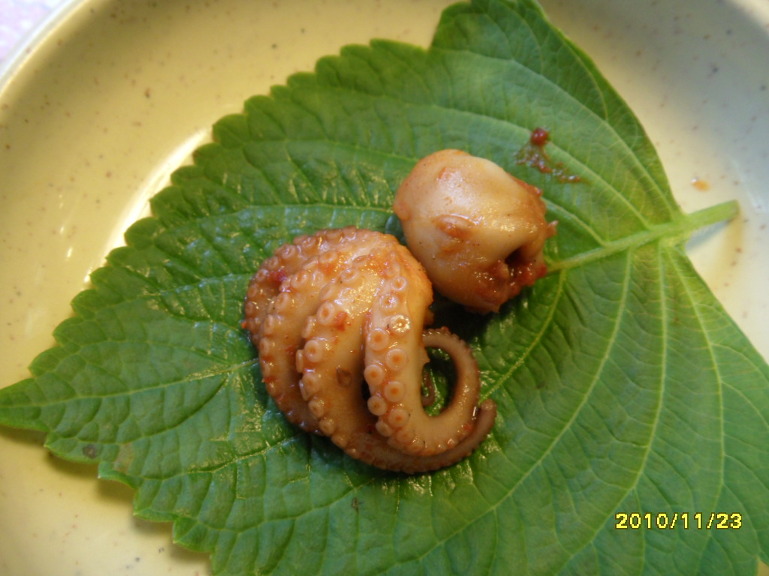 사리 이미지
