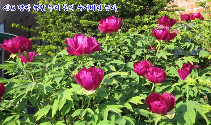 신도에너지 이미지