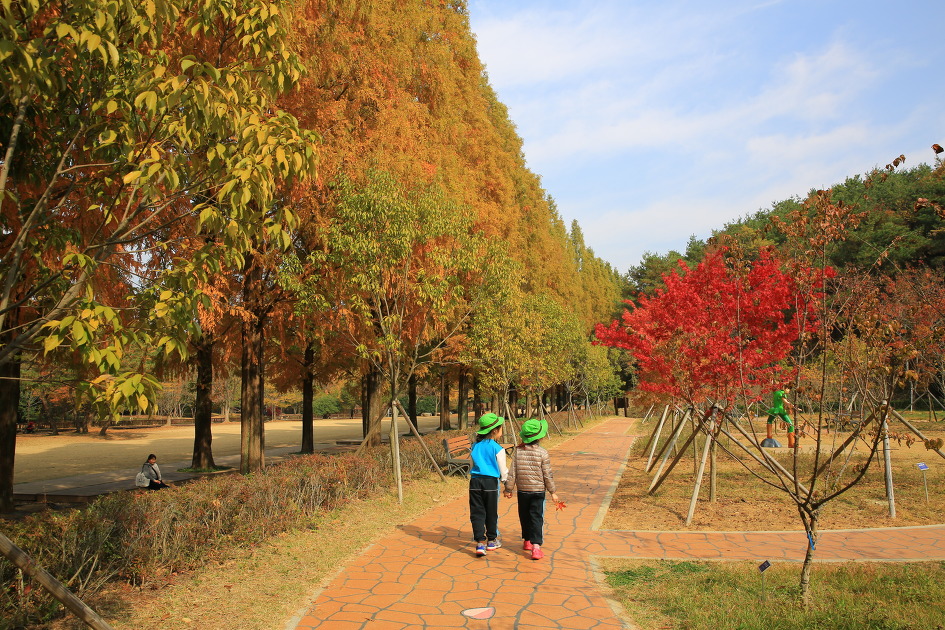 가을에 꼭 가보고 싶은곳 경상남도수목원 / 진주수목원 경남수목원