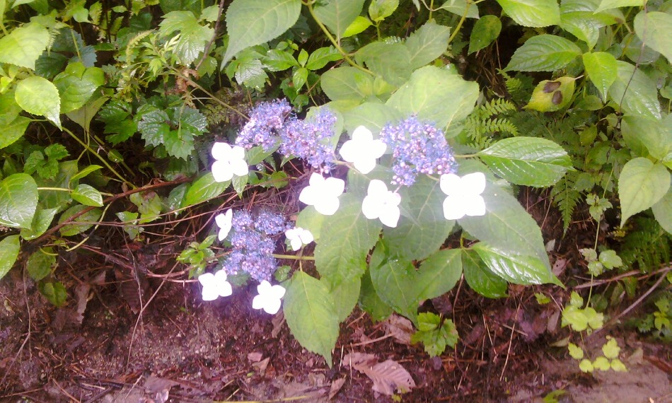 색스폰 1000곡 - 이 석화