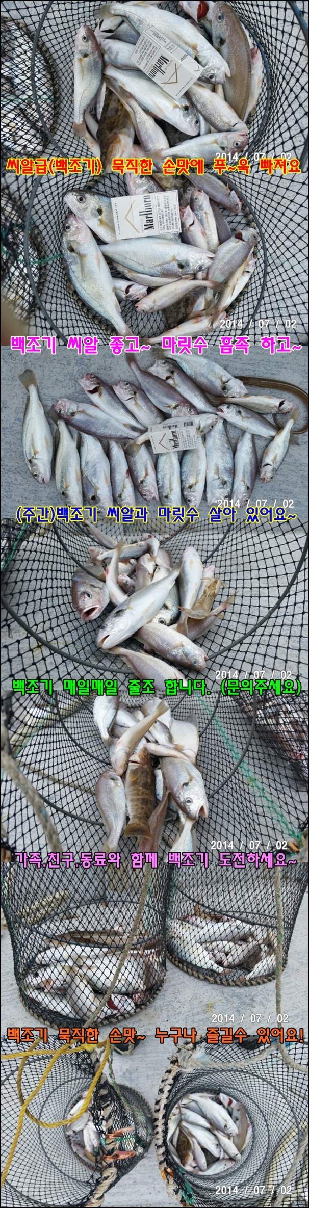 2116874C53B39ADB228FFA