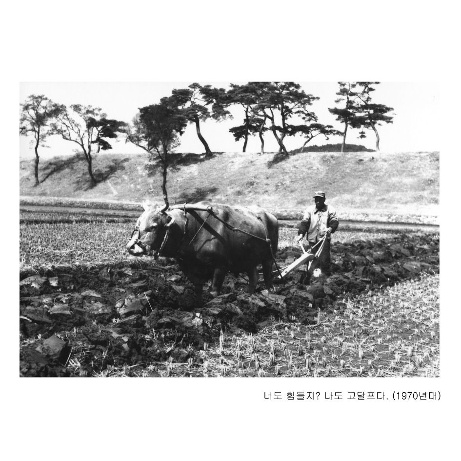 충주시 시승격 60주년 기념, '시민의 날' 행사 개최
